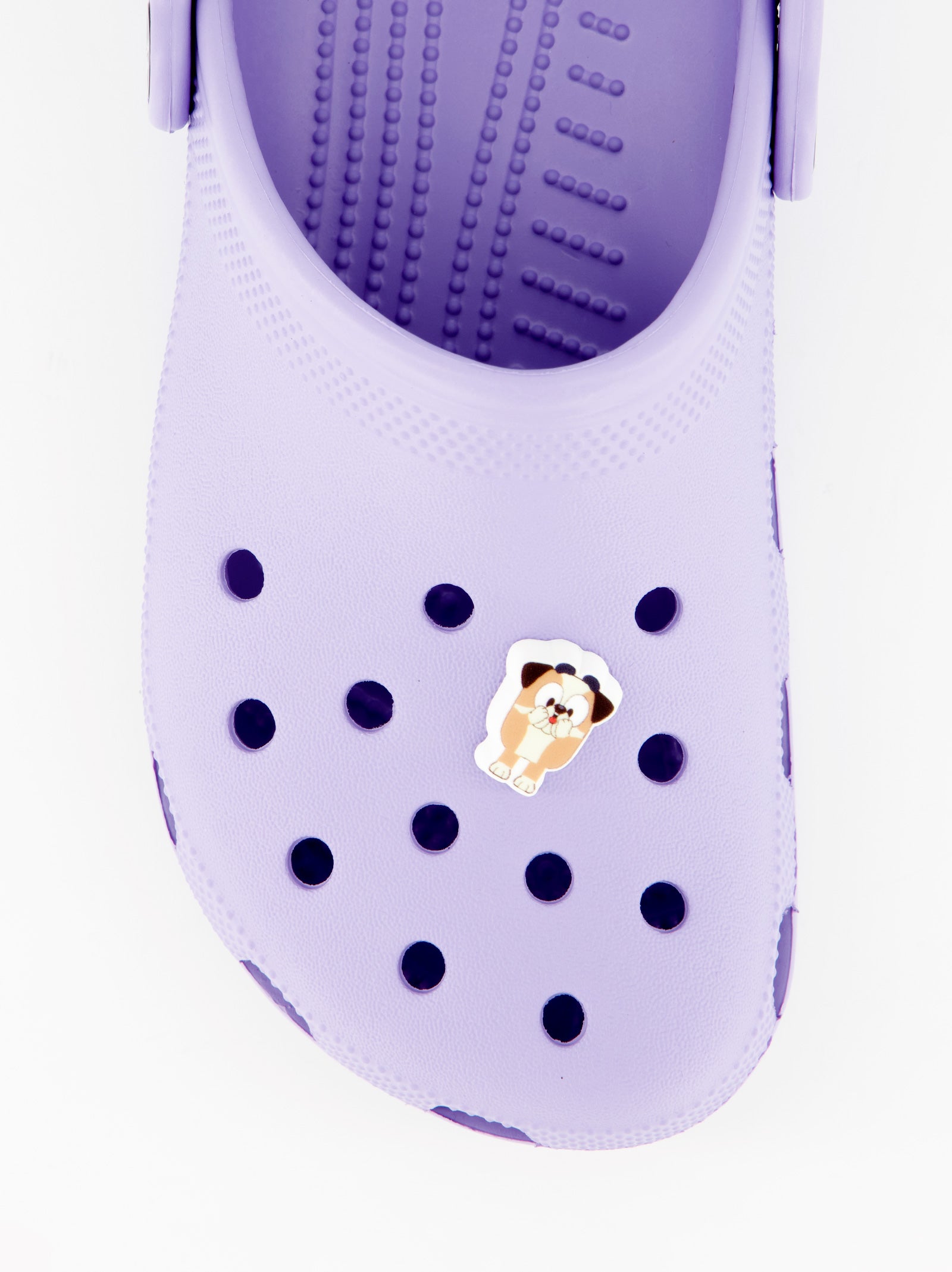 Charms para zuecos Crocs Jibbitzs Bluey